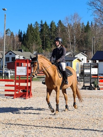 Tävling på Ätrabygdens Ridklubb den 24 april 2021. Höjd 1m. Felfri och VINST.